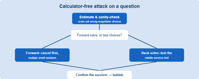 Decision flow for a calculator-free AMC 8 question: first estimate to eliminate wrong-magnitude choices; then decide whether to solve forward or back-solve by testing the remaining answer choices; confirm with clean arithmetic and cancellation.